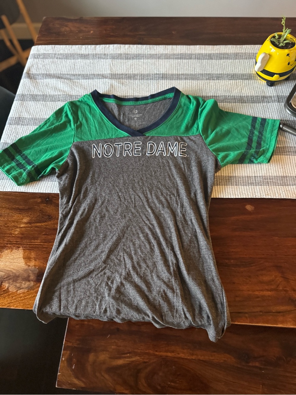 Colosseum Notre Dame Short Sleeve Tee - Green & Gray